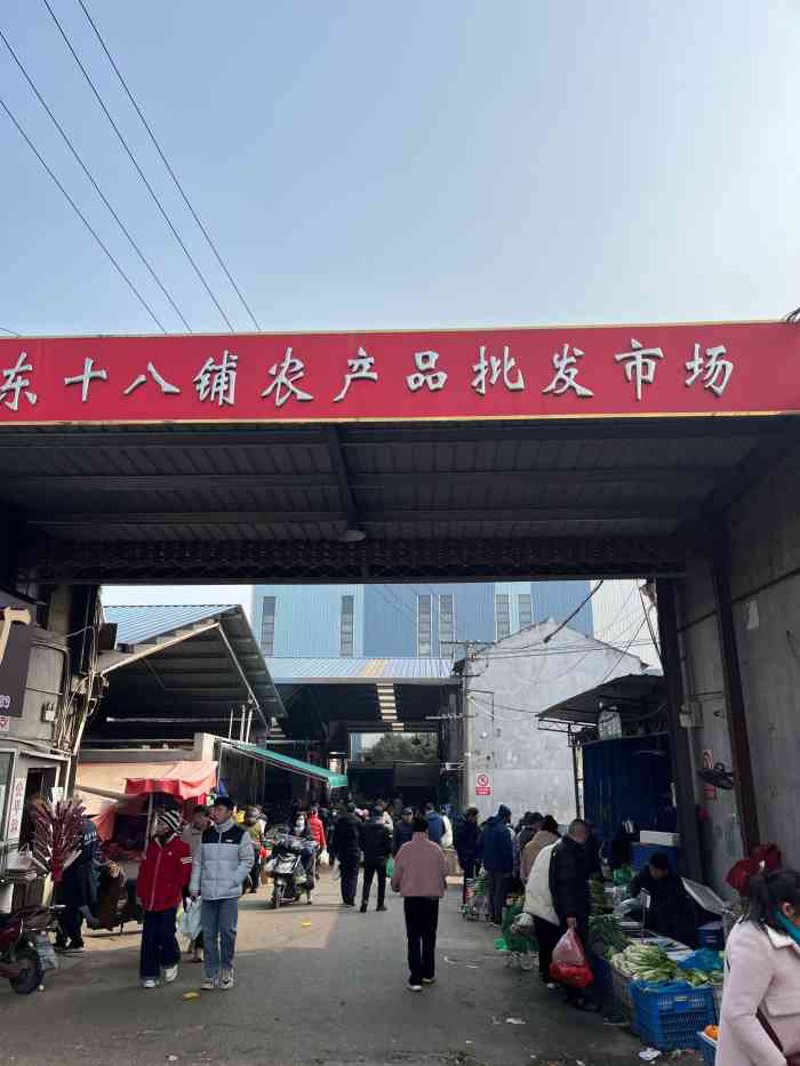 深圳食品贸易商行：行业动态与市场洞察